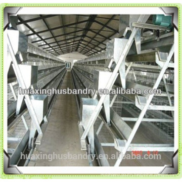 chicken cage of poultry equipment